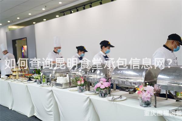 如何查询昆明食堂承包信息网？